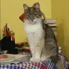 Отзыв от Елена Ларионова